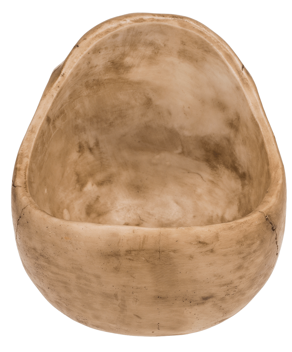 Skull Organiser, with Glasses Holder and