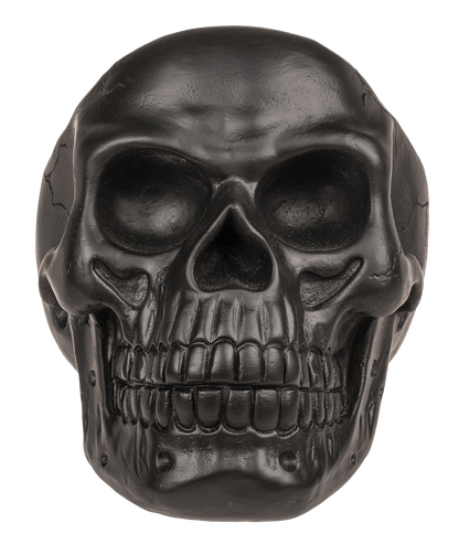 Skull Organiser, with Glasses Holder and