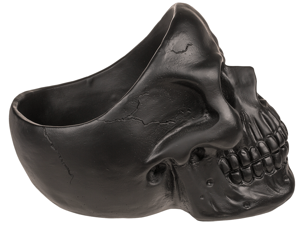 Skull Organiser, with Glasses Holder and