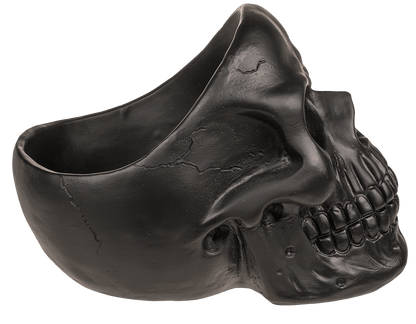 Skull Organiser, with Glasses Holder and