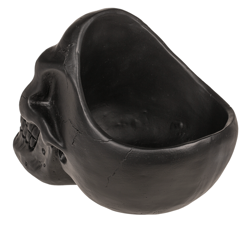 Skull Organiser, with Glasses Holder and