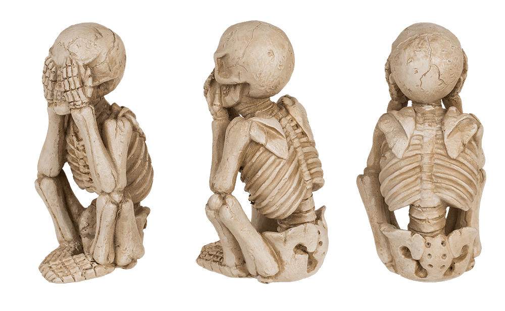 Polyresin Skeleton, "Do not say, listen and see",