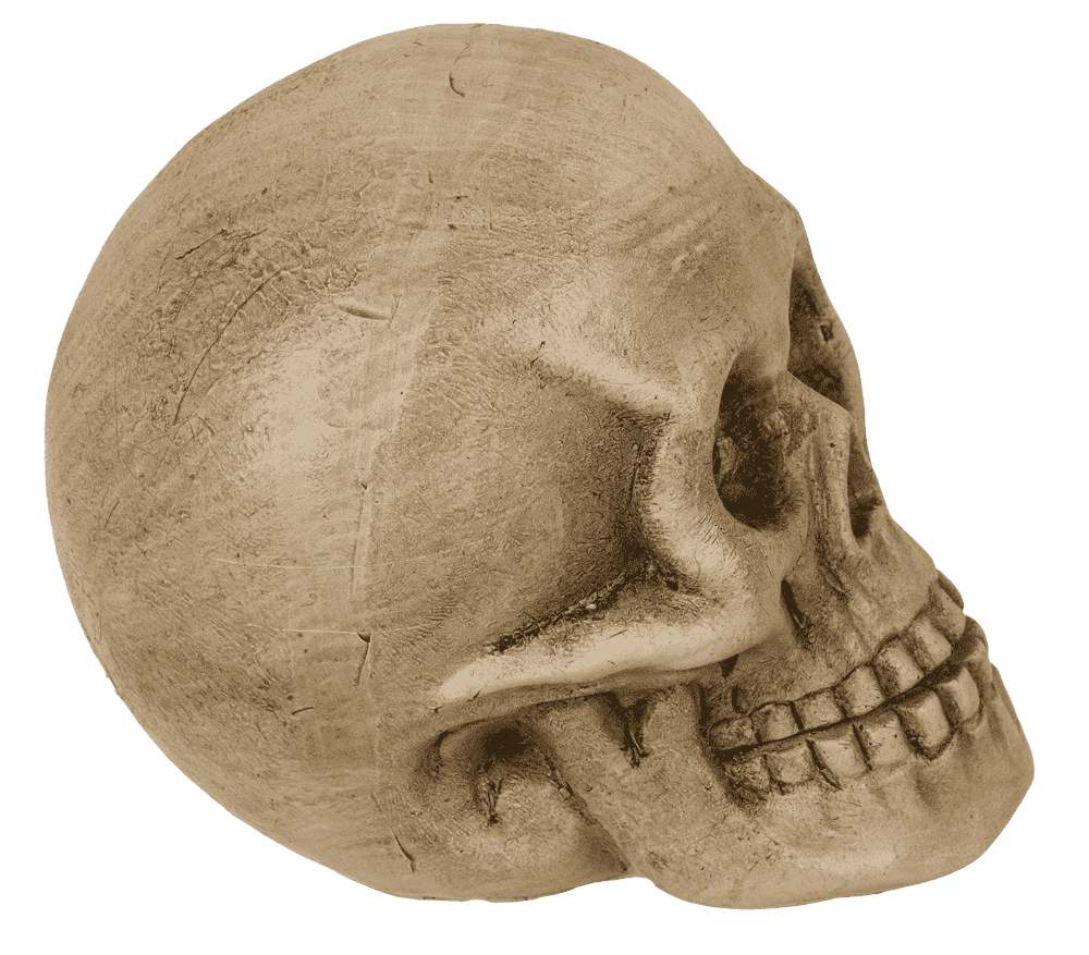 Polyresin Skull with red LED eye,