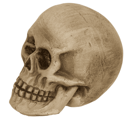 Polyresin Skull with red LED eye,