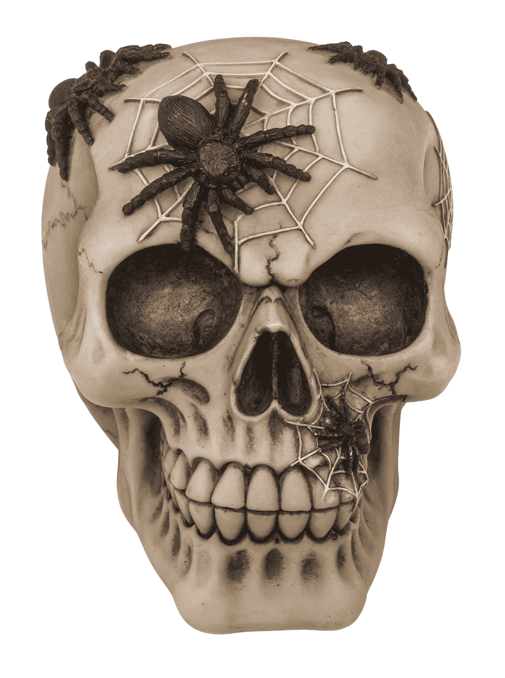 Saving bank with lock, skull with spiders,