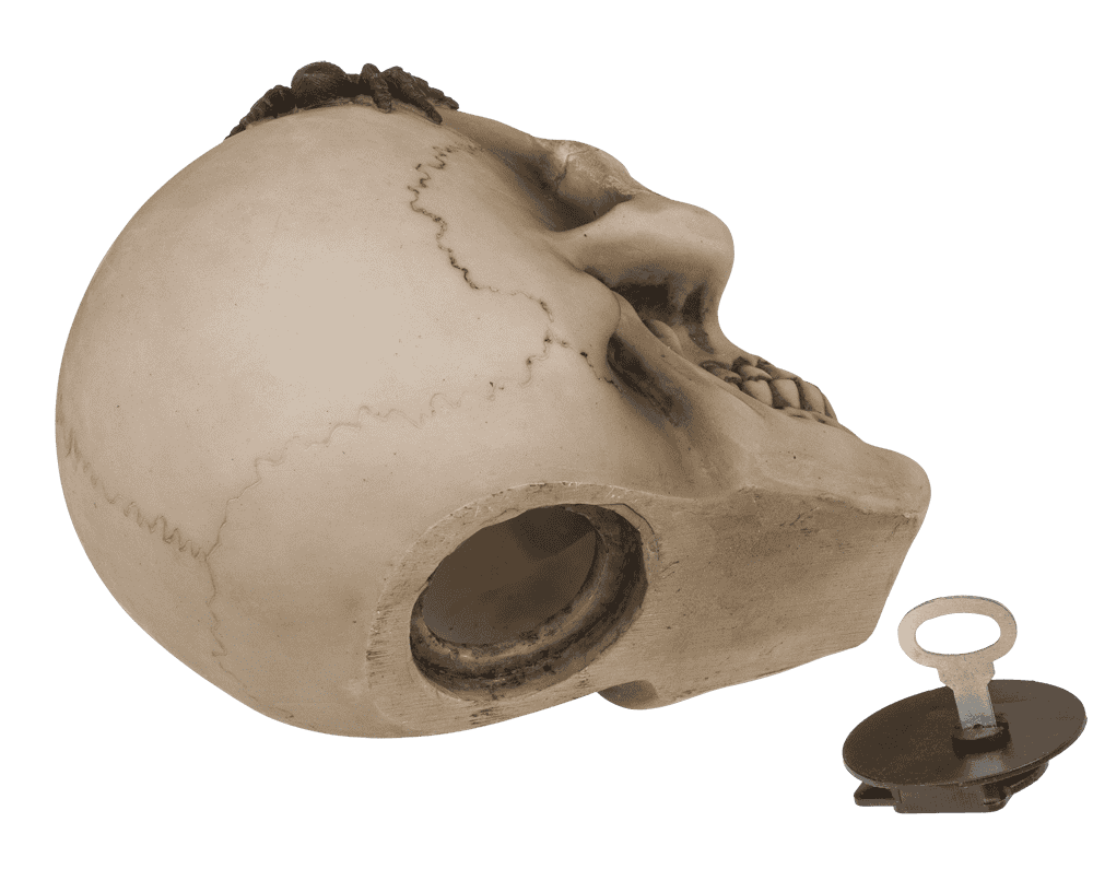 Saving bank with lock, skull with spiders,