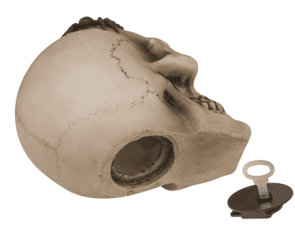 Saving bank with lock, skull with spiders,