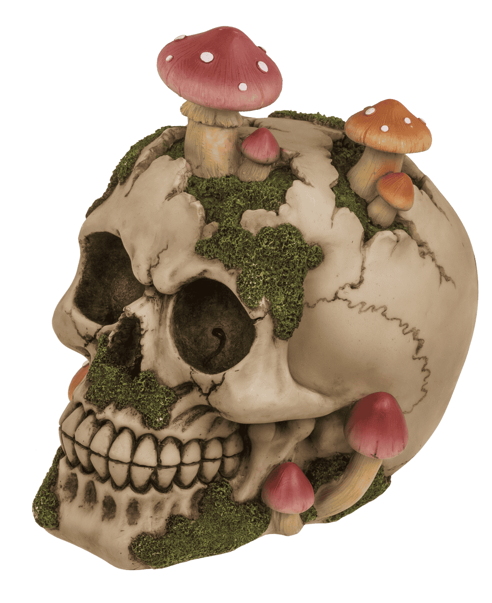 Savings bank with lock,Skull with mushroom growth,