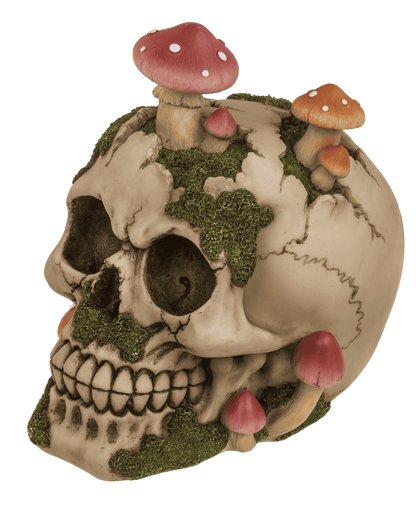 Savings bank with lock,Skull with mushroom growth,