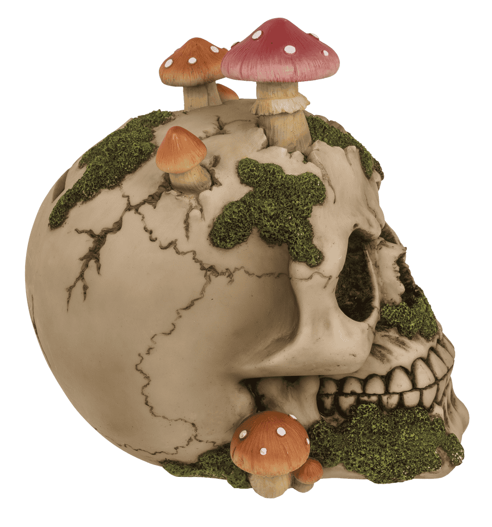 Savings bank with lock,Skull with mushroom growth,