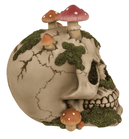 Savings bank with lock,Skull with mushroom growth,