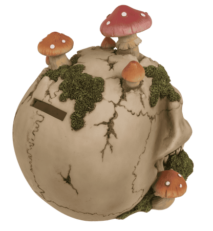 Savings bank with lock,Skull with mushroom growth,
