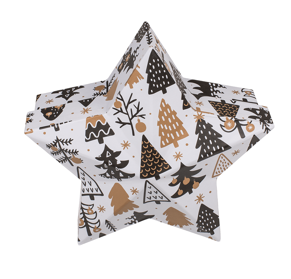 White star shaped gift box,