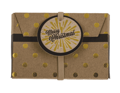 Gift envelope for money, set of 3, Merry Christmas