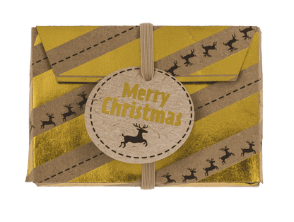Gift envelope for money, set of 3, Merry Christmas