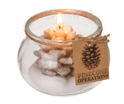 Candle, pinecone,