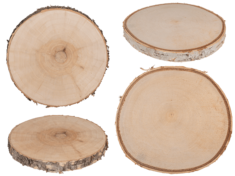 Wooden decoration slice,