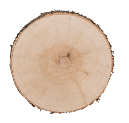 Wooden decoration slice,