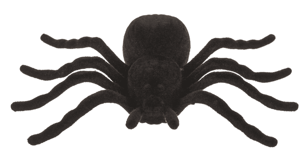 Spiders, 10,5 x 7 cm,