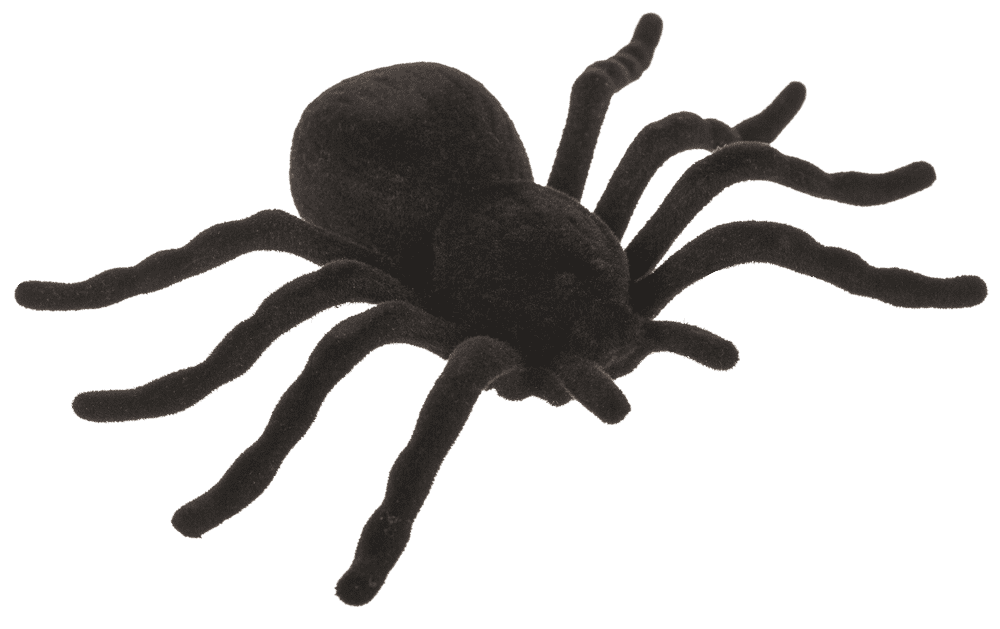 Spiders, 10,5 x 7 cm,