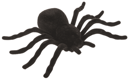 Spiders, 10,5 x 7 cm,