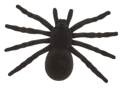 Spiders, 10,5 x 7 cm,