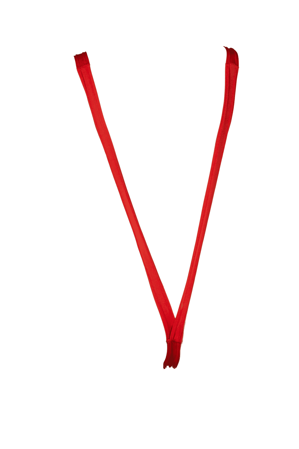 Man Swimsuit, Christmas Mankini,